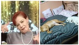 田路路租屋處曝光。（圖／翻攝自天良逗陣來做伴臉書、本人提供）