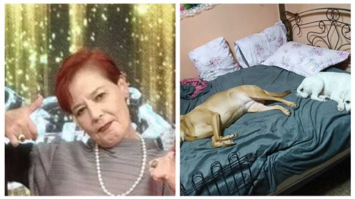 獨/資深女星田路路銷聲匿跡　獨居近況曝