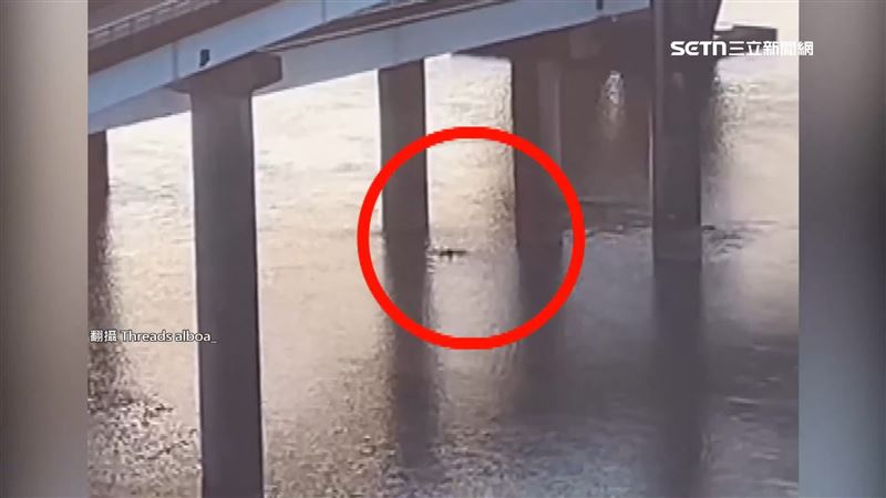 男子在淡水河上游泳