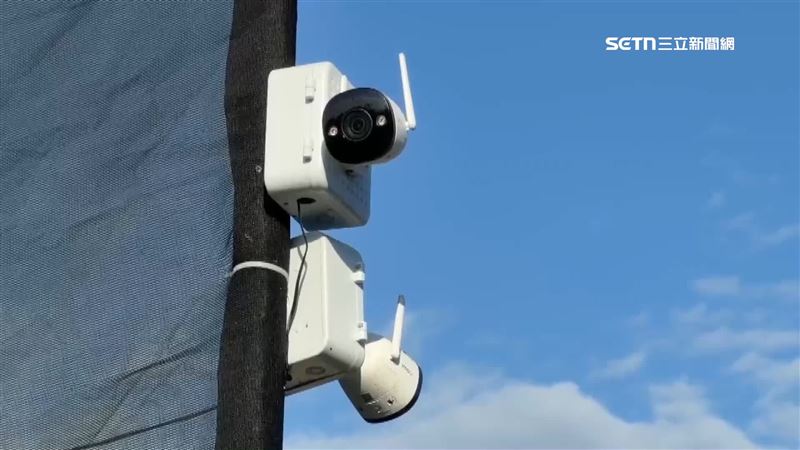 農民被偷怕了，裝上監視器抓賊