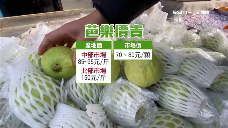 芭樂價格創天價