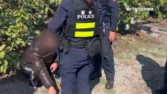 芭樂創天價頻遭竊　農民架監視器早巡晚巡