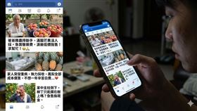 網拍詐騙 悲情牌賣水果一籮筐！靠「台灣貓山榴槤」詐騙　手法大公開（圖／AI生成示意圖） 