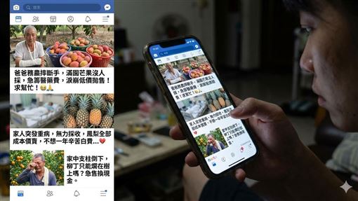 網拍水果詐騙1／悲情故事一籮筐！手法曝