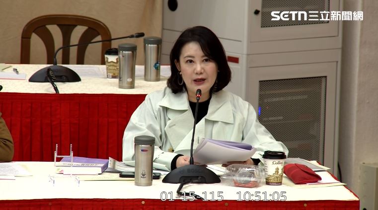 吳思瑤於彈劾公聽會中發言。（圖／翻攝畫面）