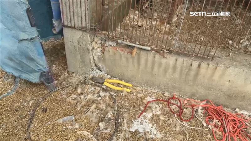 養雞場鐵網被破壞