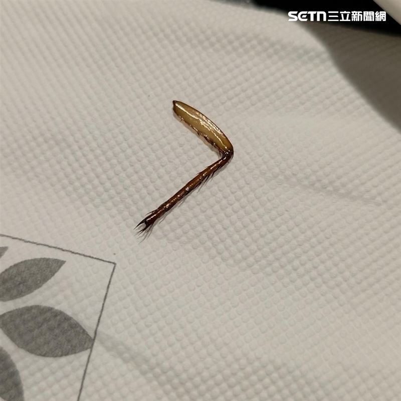 情侶前往桂田酒店吃buffet，午餐時段一人要價1290元，但卻吃到疑似蟑螂腳。（圖／翻攝自Threads @lexi1031_）