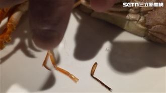 她buffet吃到蟑螂腳：瞎扯蝦腳！酒店回應