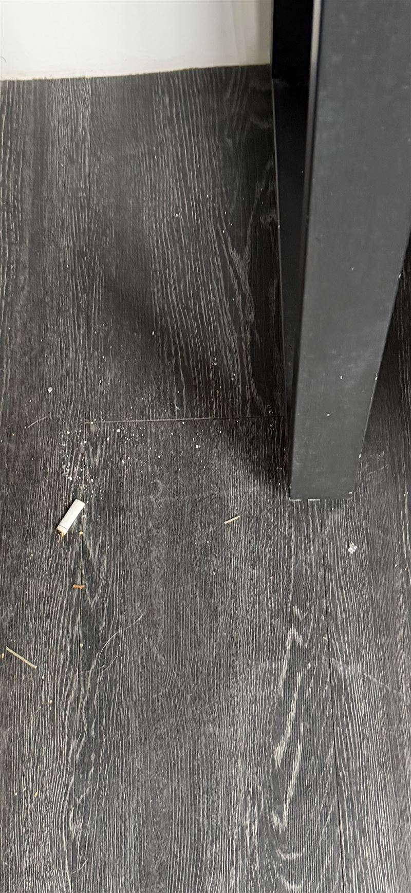 房客把菸蒂亂丟。（圖／翻攝畫面）