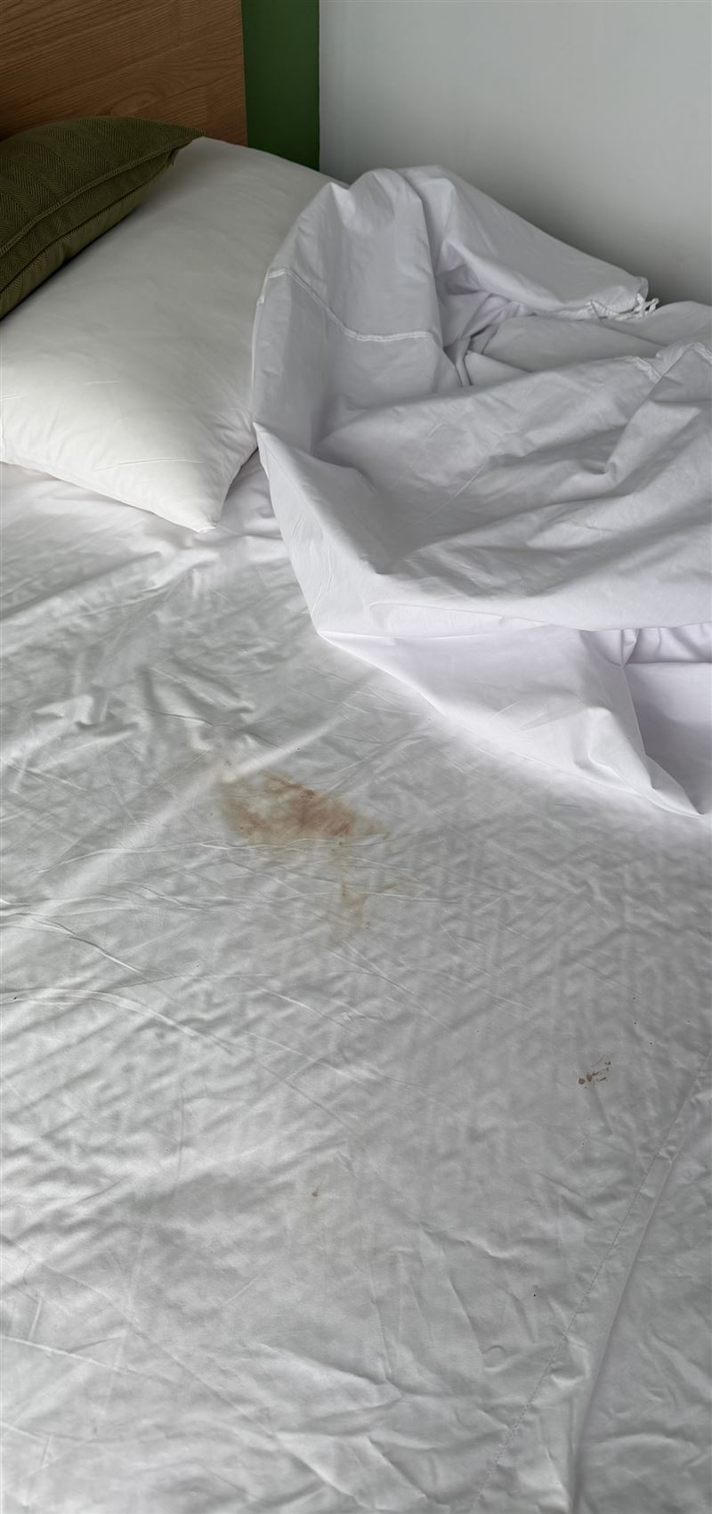 床上出現不明血跡。（圖／翻攝畫面）