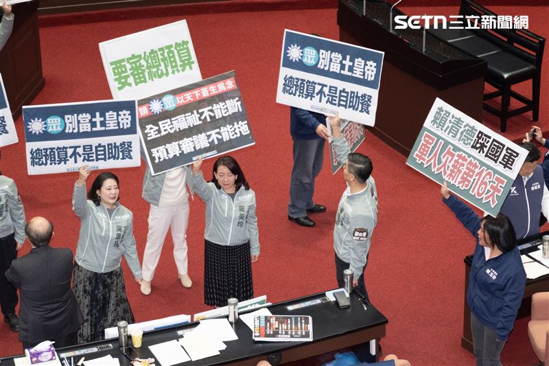 藍白抽出部分新興計畫逕付二讀，綠營舉牌抗議。（圖／記者楊士誼攝影）