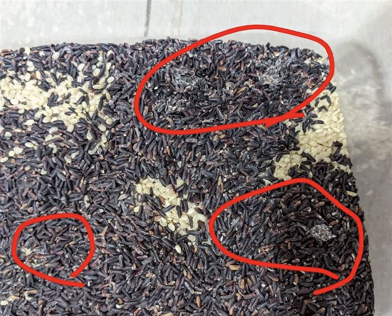 網友在愛買買到過期5年、發霉結塊的米。（圖／翻攝自Threads）