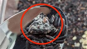 黑米,賣場,特價,衛生局（圖／翻攝自Threads）