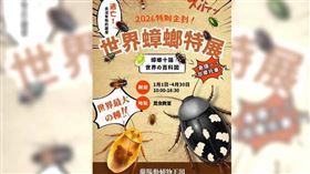 「蘭陽動植物王國」舉辦蟑螂特展，展出多種罕見珍稀品種，其中不乏色彩鮮豔或體型巨大的種類。（圖／翻攝自臉書，蘭陽動植物王國）