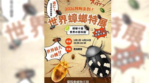 一隻蟑螂價值一台機車！　世界...