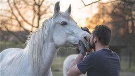 專家指出，人類自身情緒對馬匹反應影響大，建議騎士與訓練師在與馬互動時，務必保持放鬆與正向，以促進良好狀態連結。（示意圖／翻攝自Pixabay）