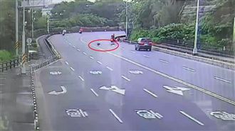 野猴結隊闖馬路　女騎士驚嚇慘摔影片曝光