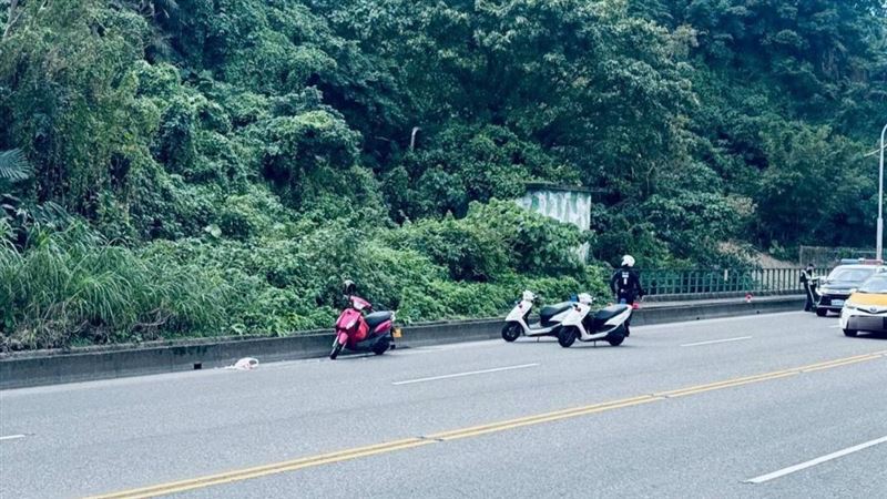 猴子從路旁衝出穿越馬路害女子騎車自摔，警方到場處理事故。（圖／翻攝畫面）