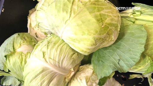 獨／菜王一斤跌破10元　農會推發票換菜
