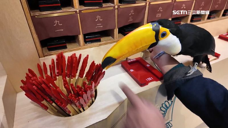 除了問事求福，寵物們也能抽籤問運