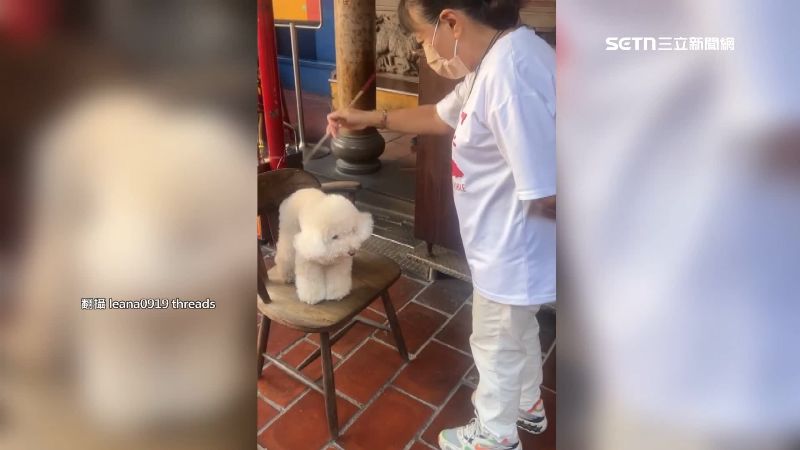 在高雄鳳山龍山寺有寵物收驚服務