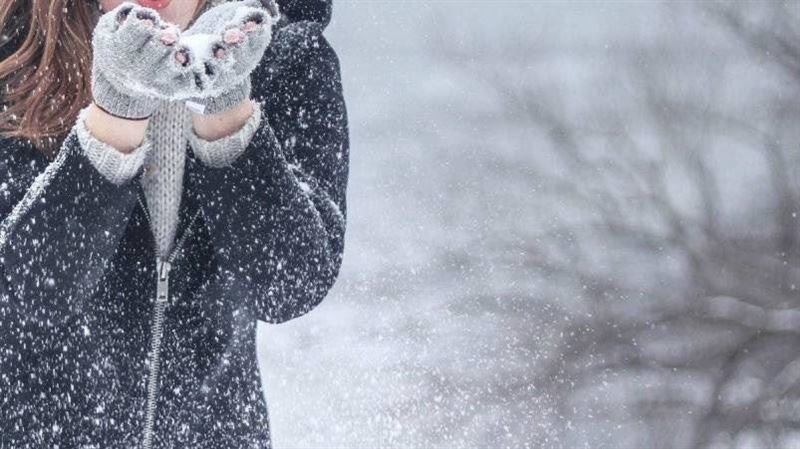 1／20大寒報到！4大生肖六大開運法一次看