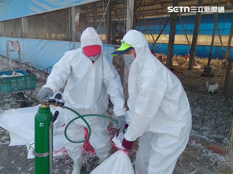 動防所已同步啟動該場半徑1公里內周圍養禽場監測採樣工作及周邊半徑3公里進行訪視輔導，訪查轄內禽場有無可疑病例。（圖／翻攝畫面）