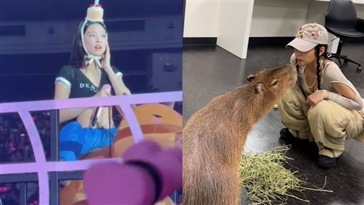 Jennie生日騎水豚衝進東京巨蛋　全場暴動