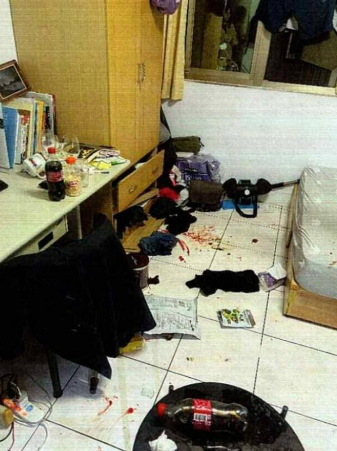 黑貓遭虐殺現場滿地是血。（新北市動保處提供）