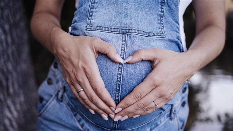 ����С���������ǡ��ɷ������ġ����ޱ���