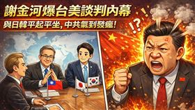 謝金河解析台美談判取得 15% 關稅優惠與優於日韓的投資自主權，更以「信保基金」槓桿化銀彈，反擊「掏空台灣」的說法。台積電憑藉先進封裝轉型為 AI 系統整合商，鞏固全球算力霸權，這不僅是主權升級，更是股價再上一層樓的基石，莫因政爭看不清戰略大局！（AI製圖）