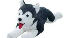 哈士奇玩偶，示意圖，與本案無關。（圖／翻攝自淘寶）