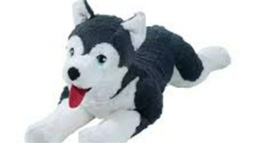 偷女鄰居玩偶挖洞性侵　新北噁男下場曝光