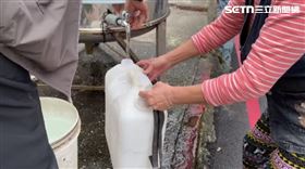 停水,水桶,水,儲水（示意圖／資料照）