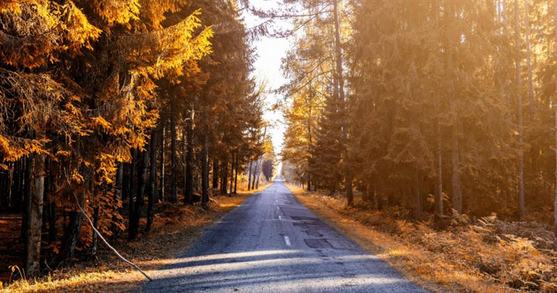 本週生肖事業運前三名出爐。（示意圖／Pexels）