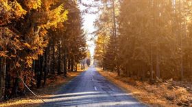 本週生肖事業運前三名出爐。（示意圖／Pexels）