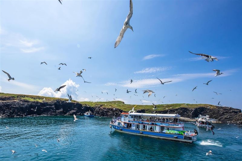 「澎湖東海一日遊」將造訪「台版馬爾地夫」美譽的「澎澎灘」，並安排補龍蝦體驗，是結合自然、生態與趣味性的的熱門跳島行程。（圖／飯店旅宿業者提供）