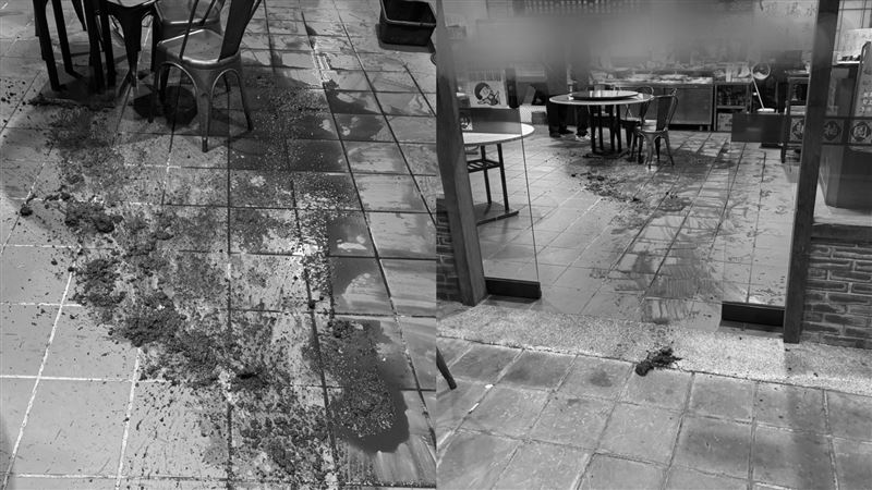 餐廳內布滿污穢物。（圖／翻攝自「社會事影音」）