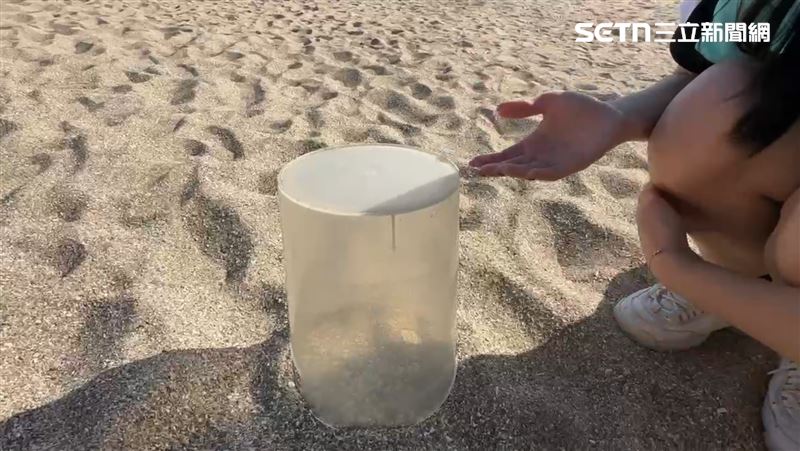 墾丁凱撒飯店表示，透明觀察桶適用於倒蓋，以方便參與活動者觀察沙蟹、寄居蟹，但經過調整後已經不再提供。（圖／（圖／記者朱俊傑攝影）