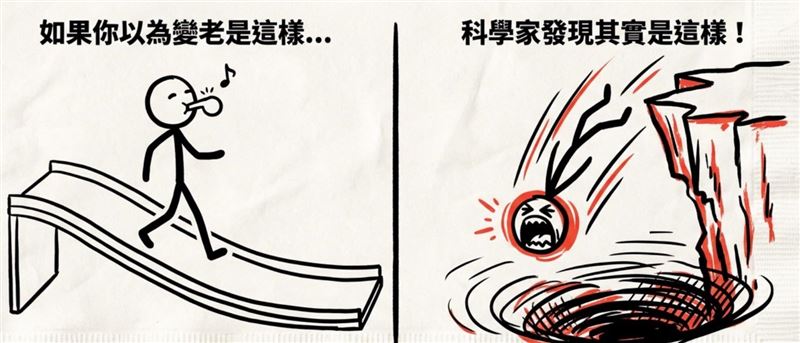 醫師蕭捷健表示，最新研究指出，老化不是緩慢發生，而是在人44歲左右，毫無預警地快速發生。（圖／取自蕭捷健的臉書)