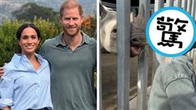哈利與梅根的兒子亞契（右圖），到動物園餵食犀牛。（翻攝meghan IG）