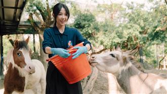 歷時4年！邵雨薇戀上王柏傑餵羊、清牛糞