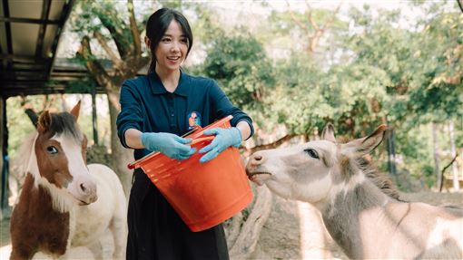 歷時4年！邵雨薇戀上王柏傑餵羊、清牛糞