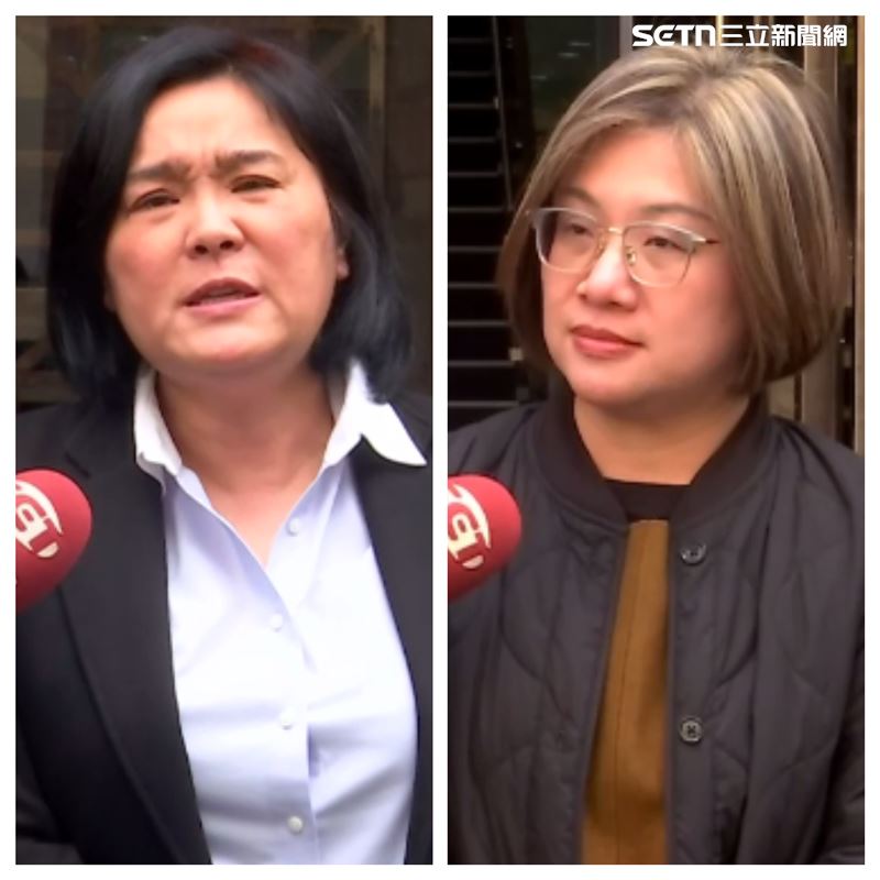 陳培瑜控訴，陳玉珍在立院衝突中，身穿鋼頭鞋踹她頭部七下，導致受傷送醫。（圖／翻攝畫面）