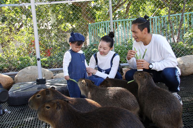 迎接寒假！玉山卡友限定指定日玩樂園不用錢