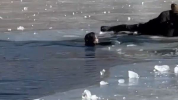 遊客闖冰湖「極凍慘死」　絕望掙扎畫面曝