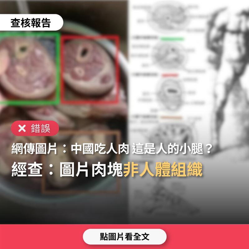 網傳「中國吃人肉」驚悚圖片在Threads瘋傳，事實查核中心緊急闢謠。專家指出圖中骨骼距離與皮膚厚度不符人體，且無血管構造。肉販澄清這是機器輪切的「豬後腿」，因切法特殊遭誤解，實為2021年舊照，請民眾勿信謠言。（圖／翻攝自事實查核中心網站）