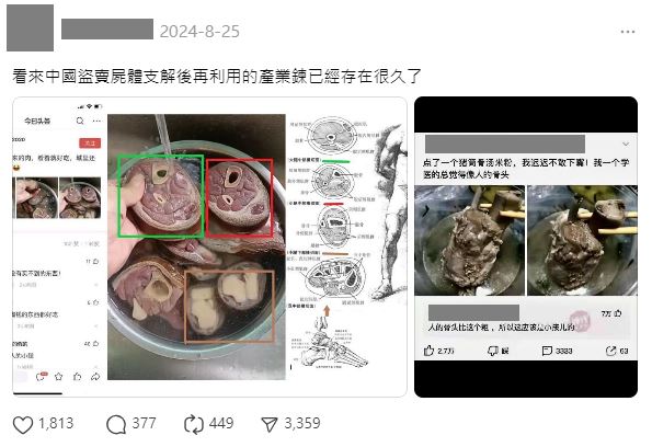 網傳「中國吃人肉」驚悚圖片在Threads瘋傳，事實查核中心緊急闢謠。專家指出圖中骨骼距離與皮膚厚度不符人體，且無血管構造。肉販澄清這是機器輪切的「豬後腿」，因切法特殊遭誤解，實為2021年舊照，請民眾勿信謠言。（圖／翻攝自事實查核中心網站）