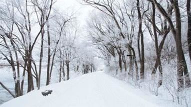 今「大寒」小心5病症　醫：快顧3部位驅寒