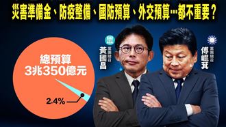 批藍白國會巨嬰　綠：總預算不能切割處理